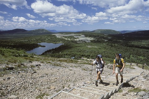 Parc National de la Gaspésie