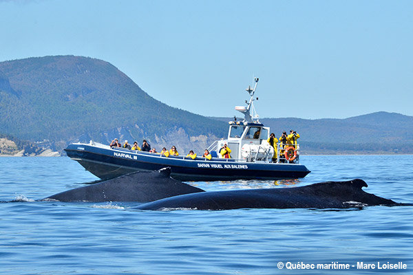 Les Croisières Baie de Gaspé