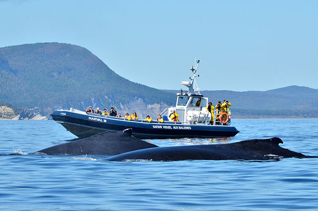 Les Croisières Baie de Gaspé