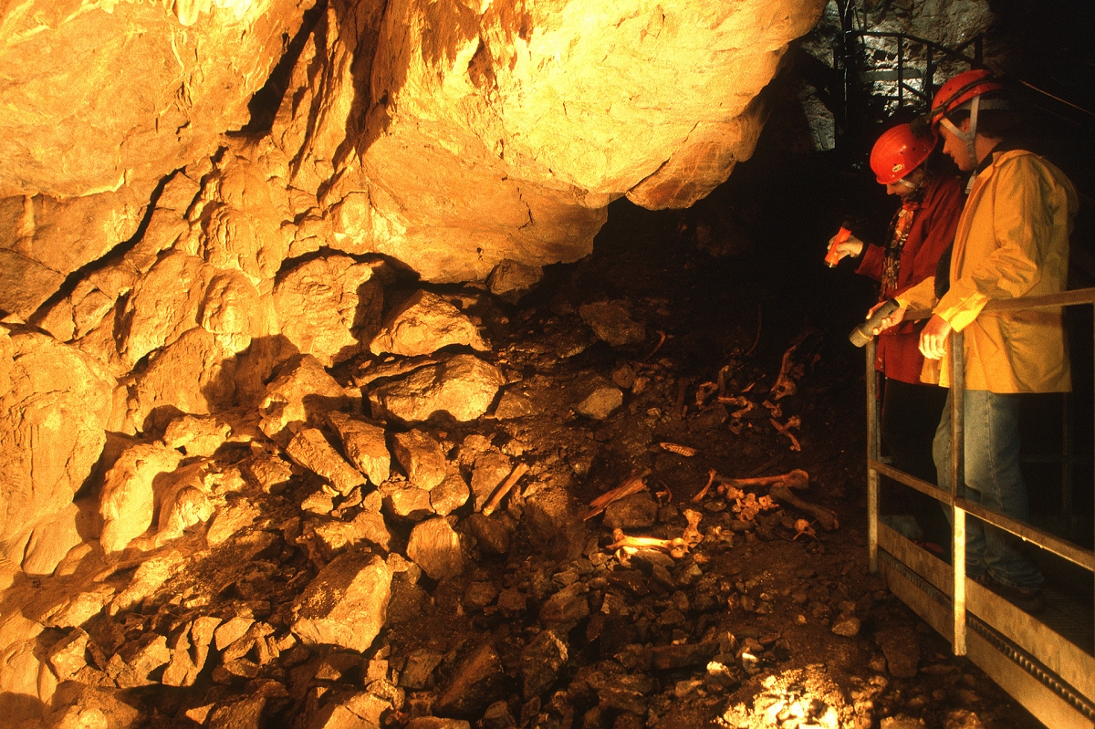 Tourisme Gaspésie La Grotte de SaintElzéar, la face cachée de la
