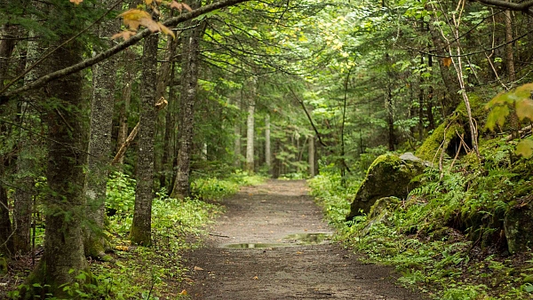 Parc régional de la rivière Mitis