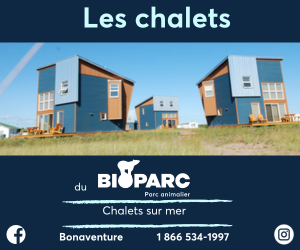 Publicité