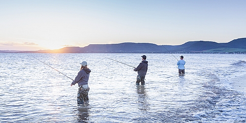 Leurres pour la pêche aux Bars Rayés en Gaspésie achat en ligne