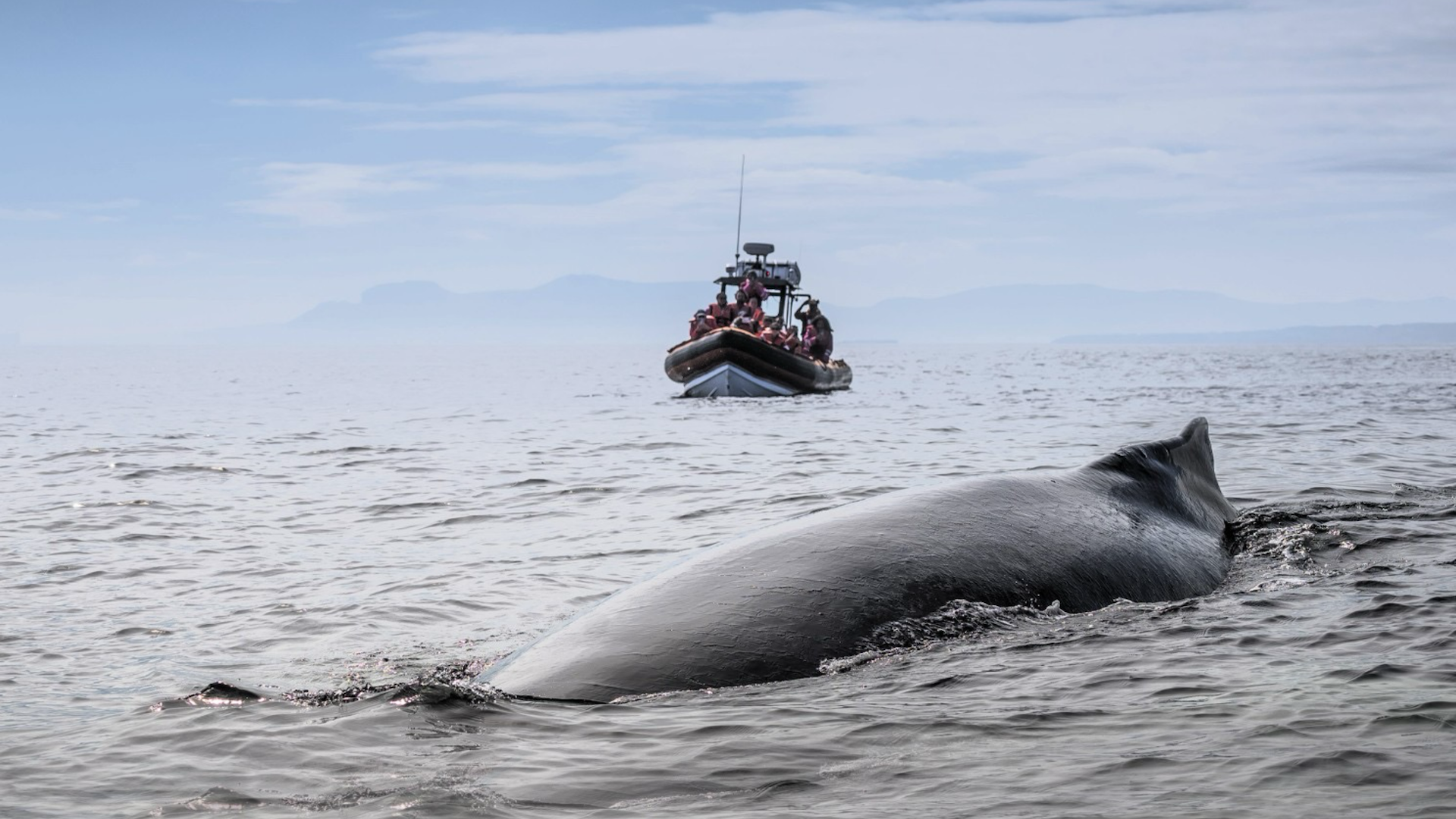 Croisières Baie de Gaspé