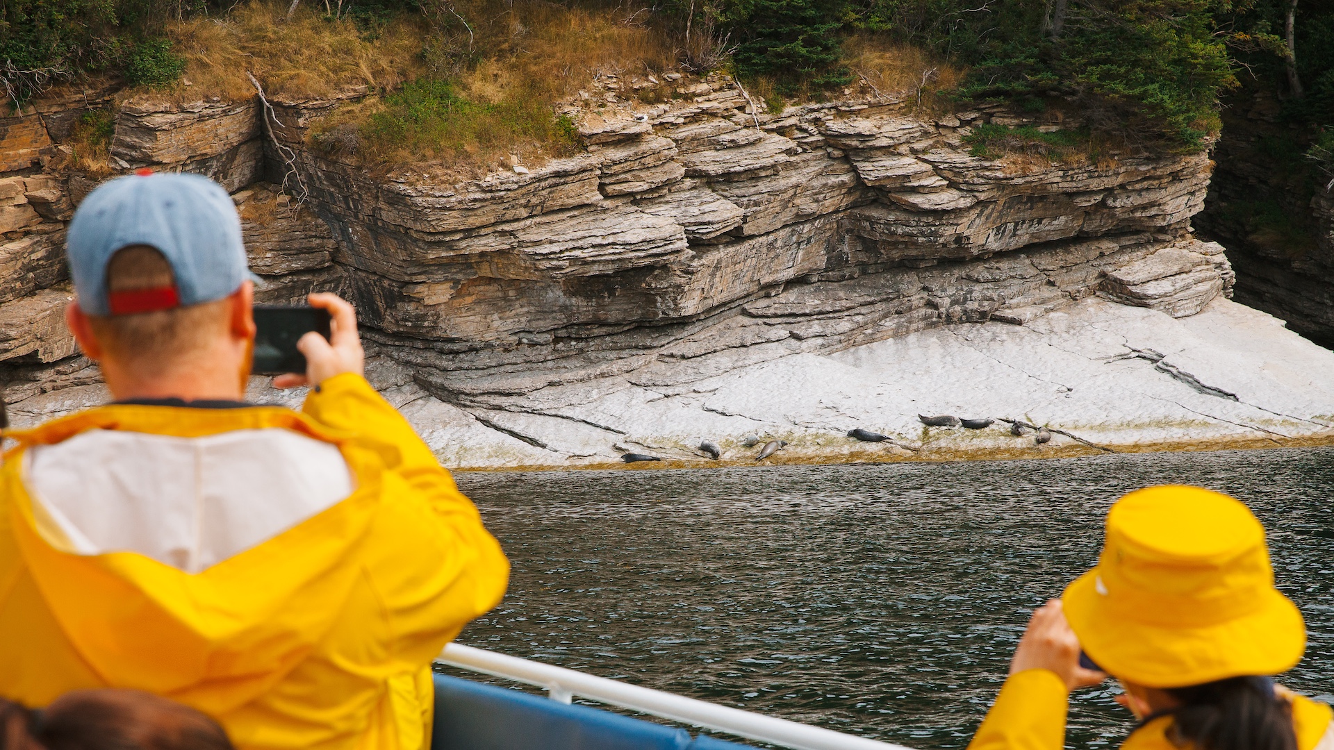 Whale-Watching Cruise in Forillon National Park