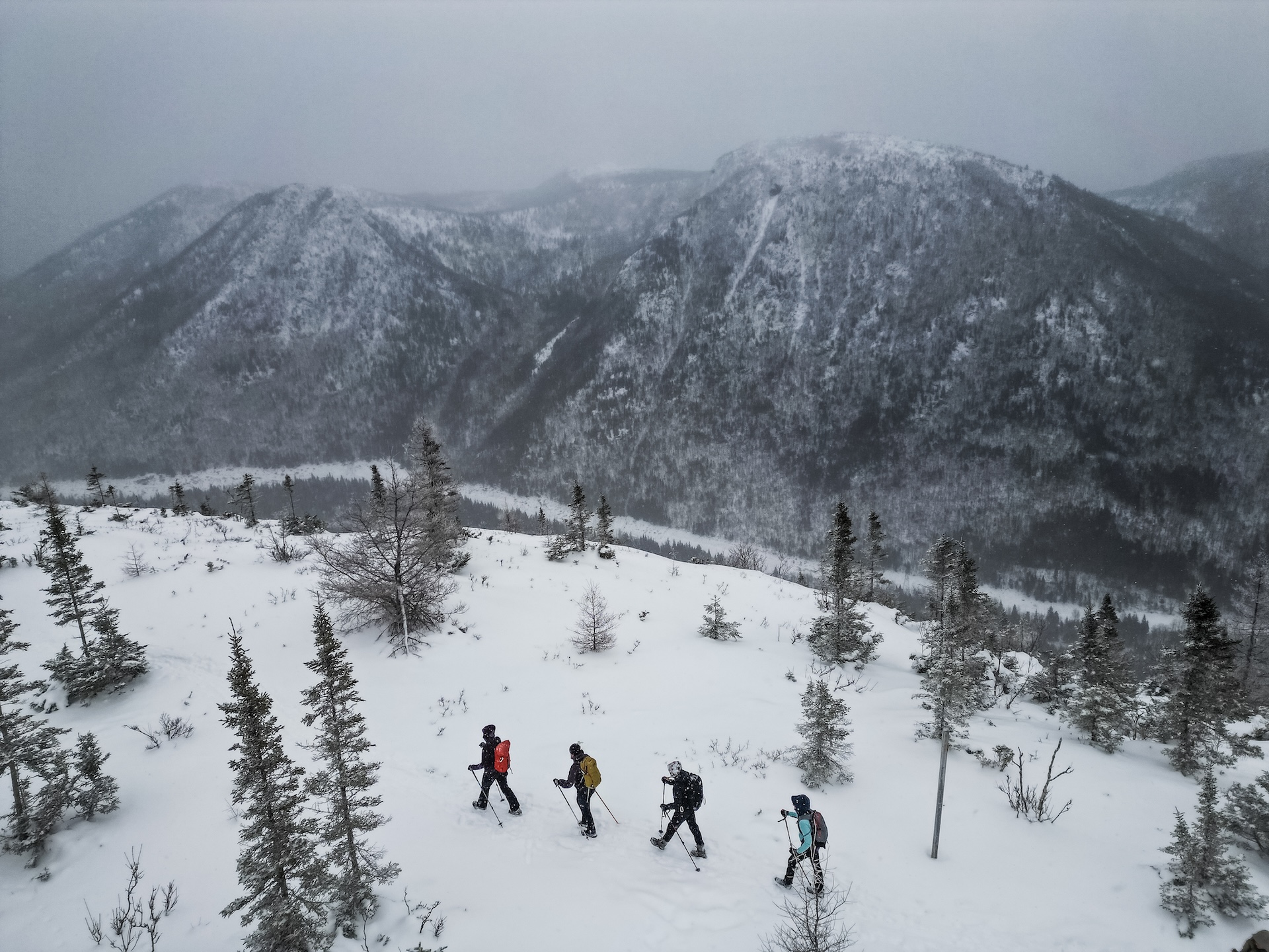 Parc national de la Gaspésie