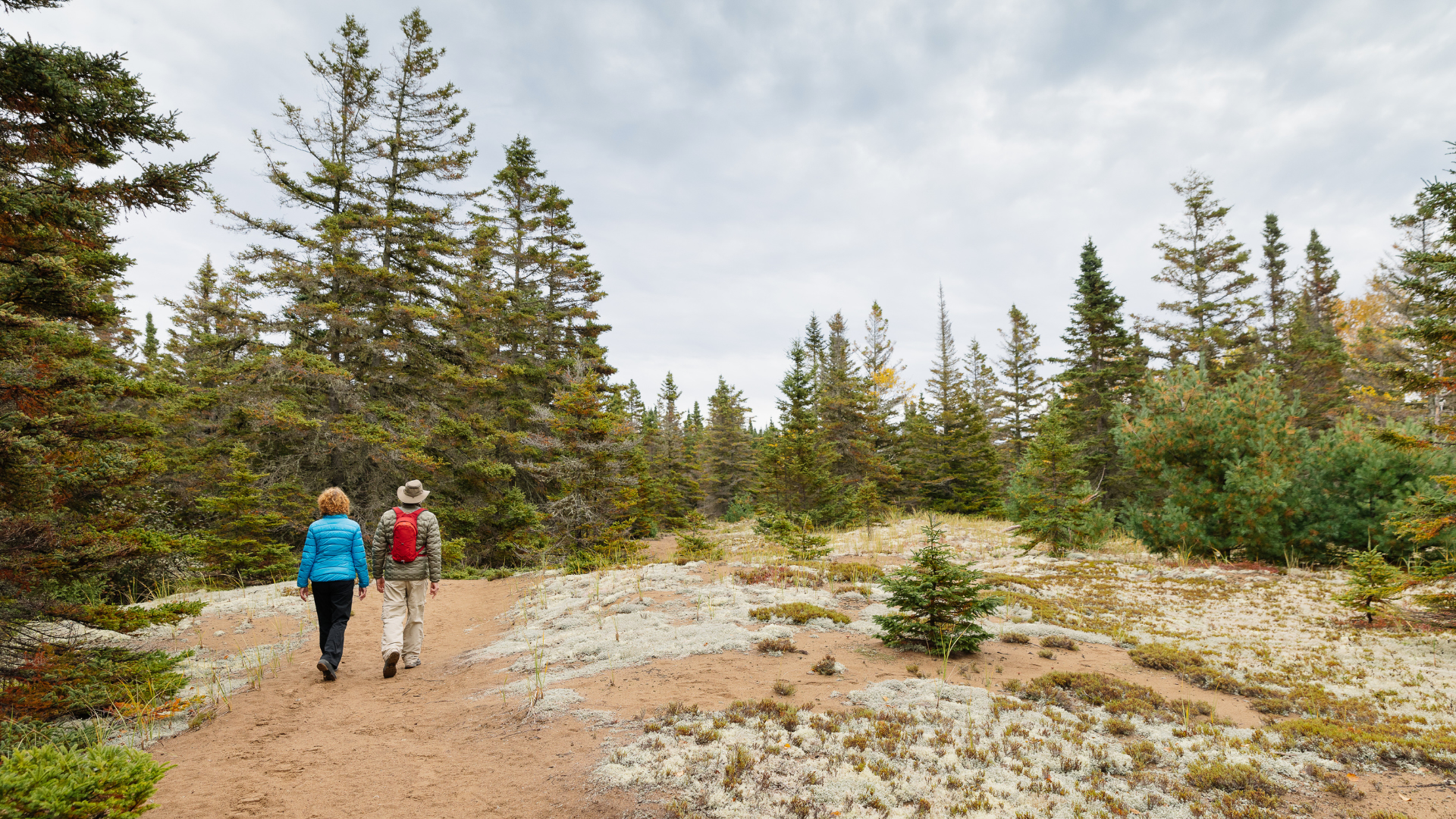 Penouille, Parc national Forillon