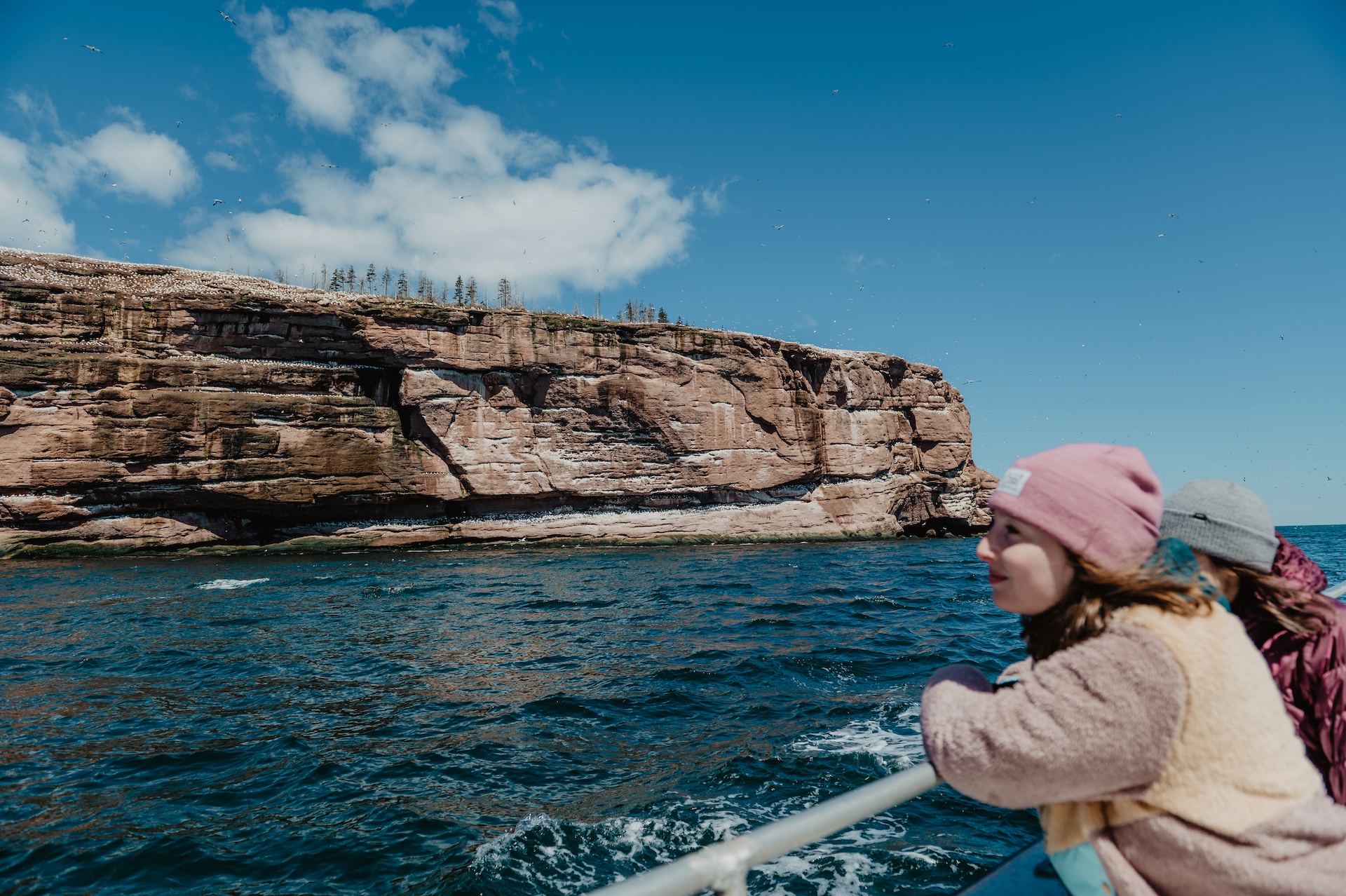  Cruise to Bonaventure Island