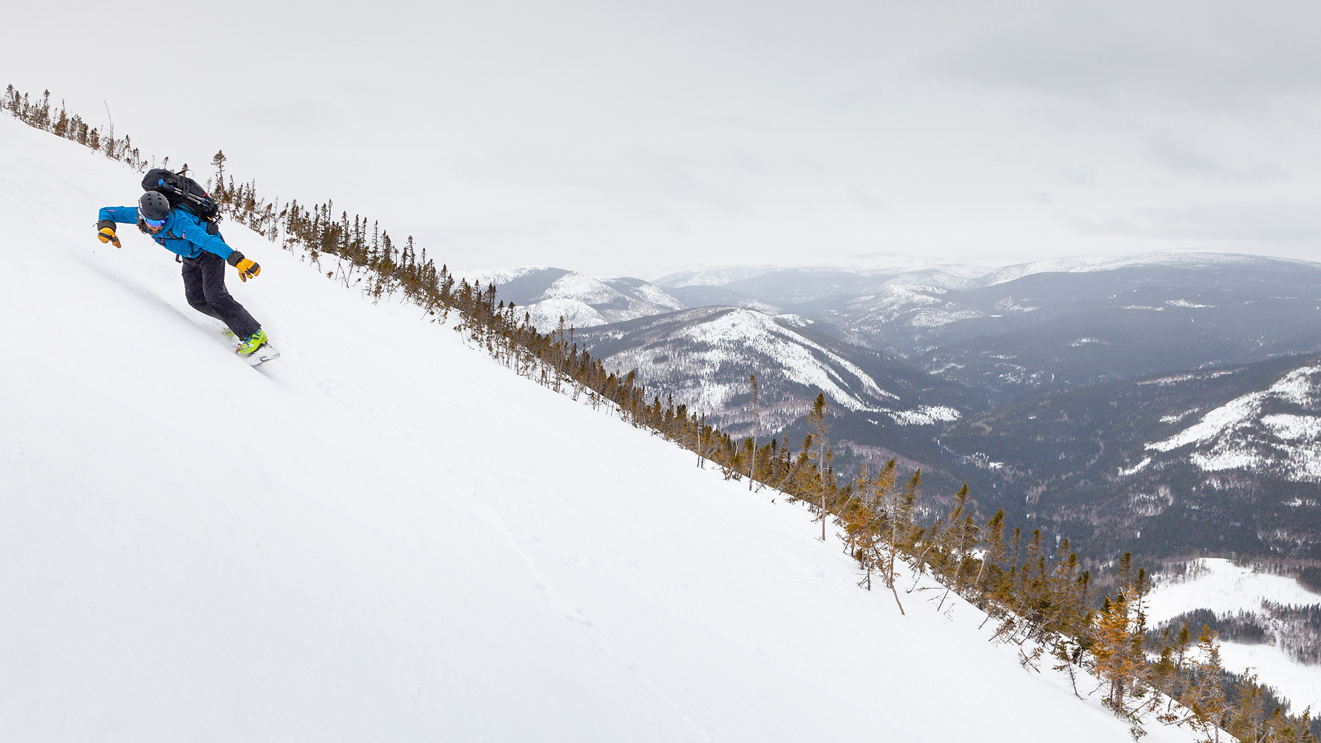 Parc national de la Gaspésie