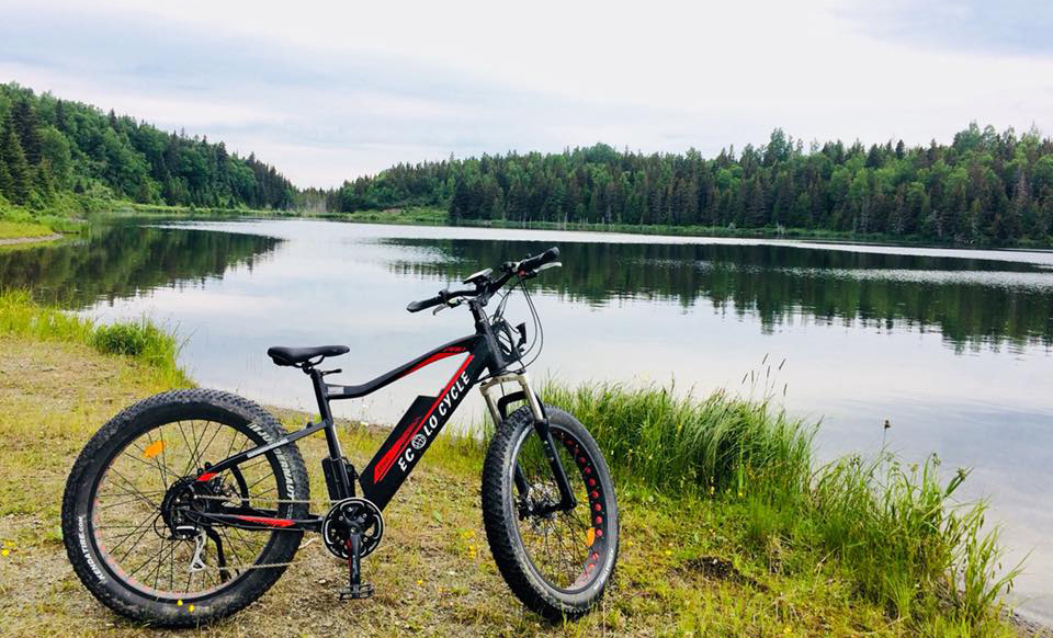 Village Grande Nature Chic-Chocs