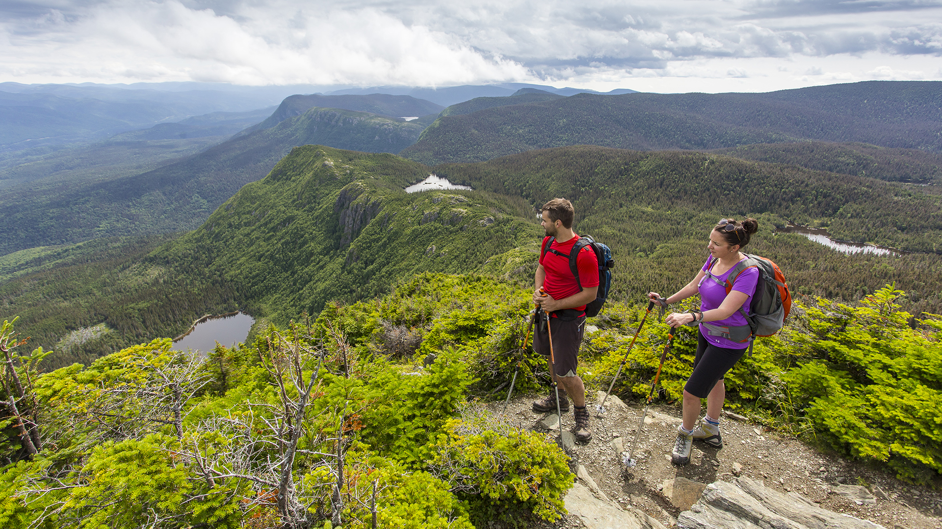 Parc national de la Gaspésie
