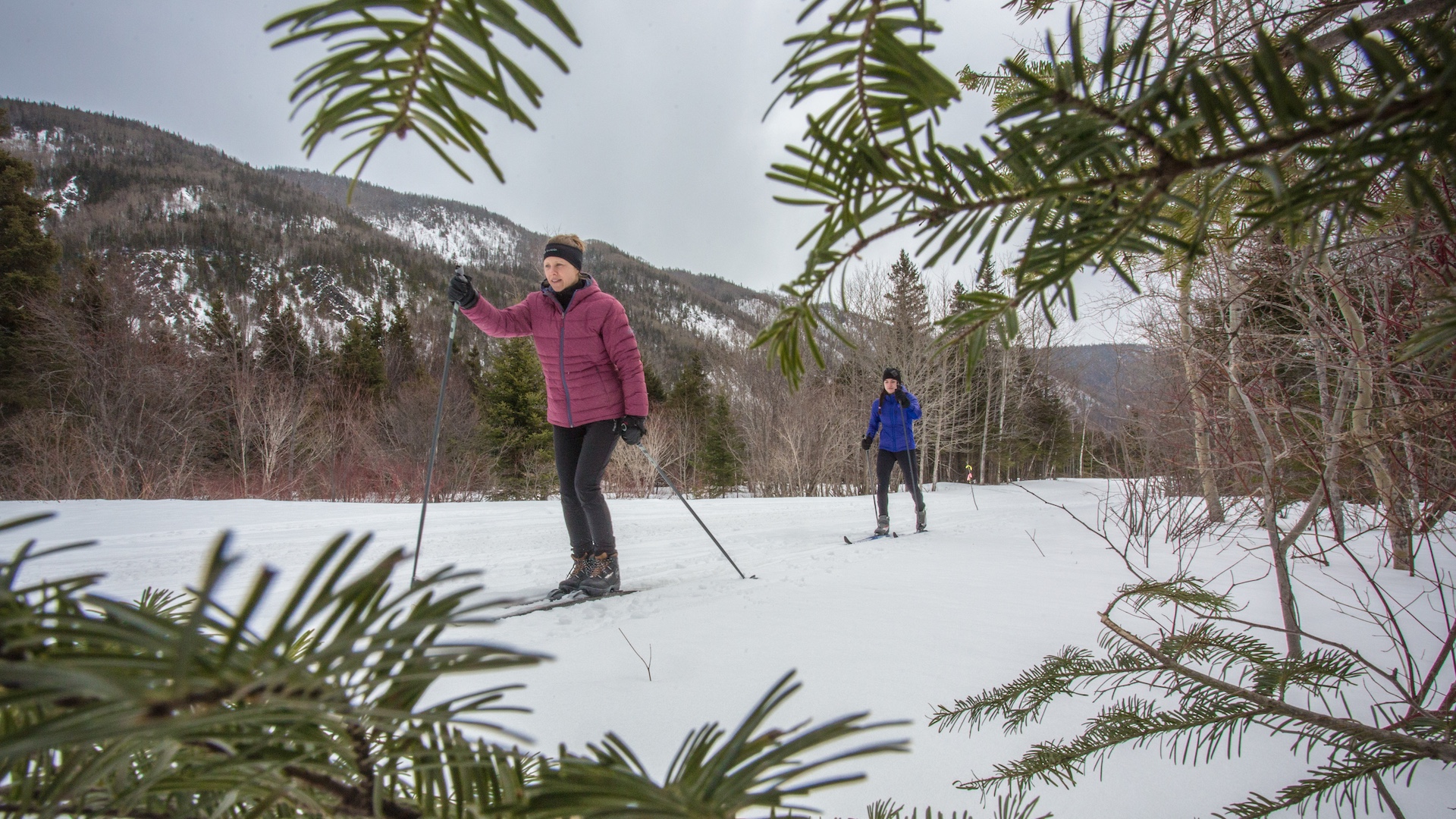 Les Sentiers de la vallée des pins blancs