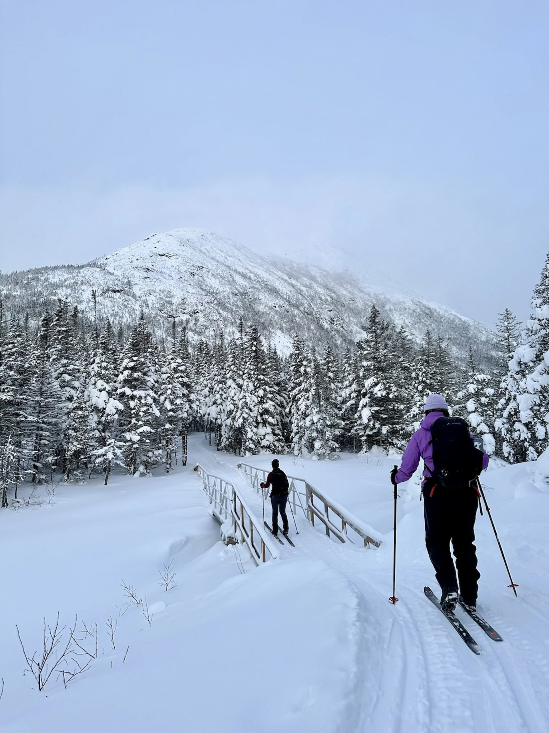 Ski de fond dans le parc national de la Gaspésie