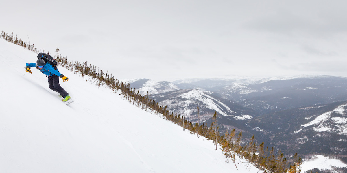 Parc national de la Gaspésie