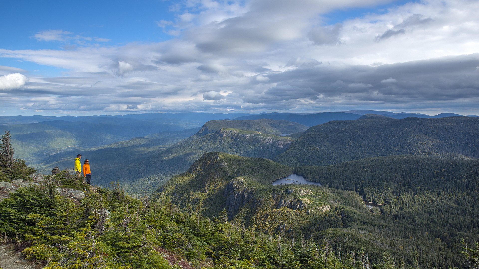 Parc national de la Gaspésie