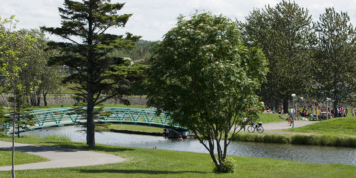 Parc des îles, Matane