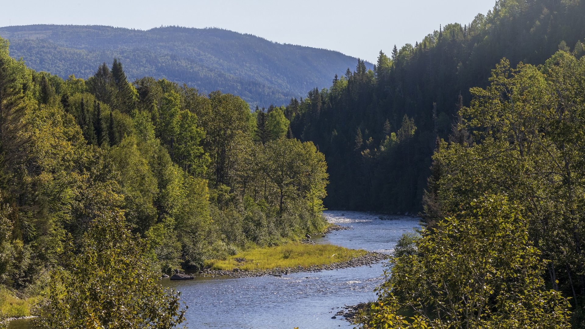 Rivière Matane