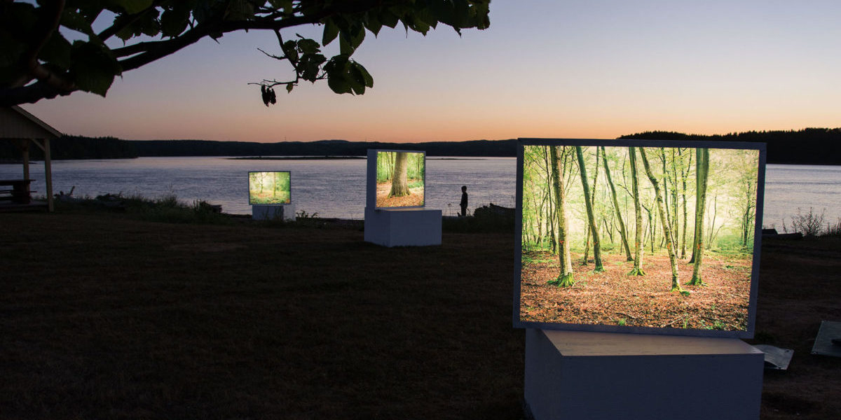 Rencontres de la photographie en Gaspésie