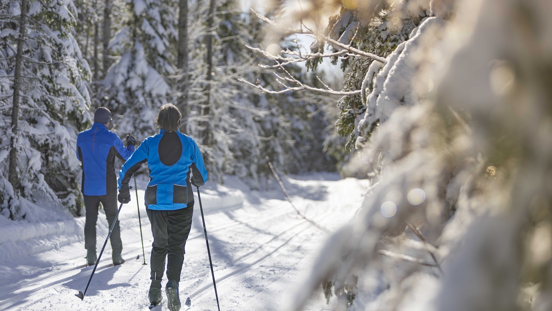 Ski de fond dans La Matanie