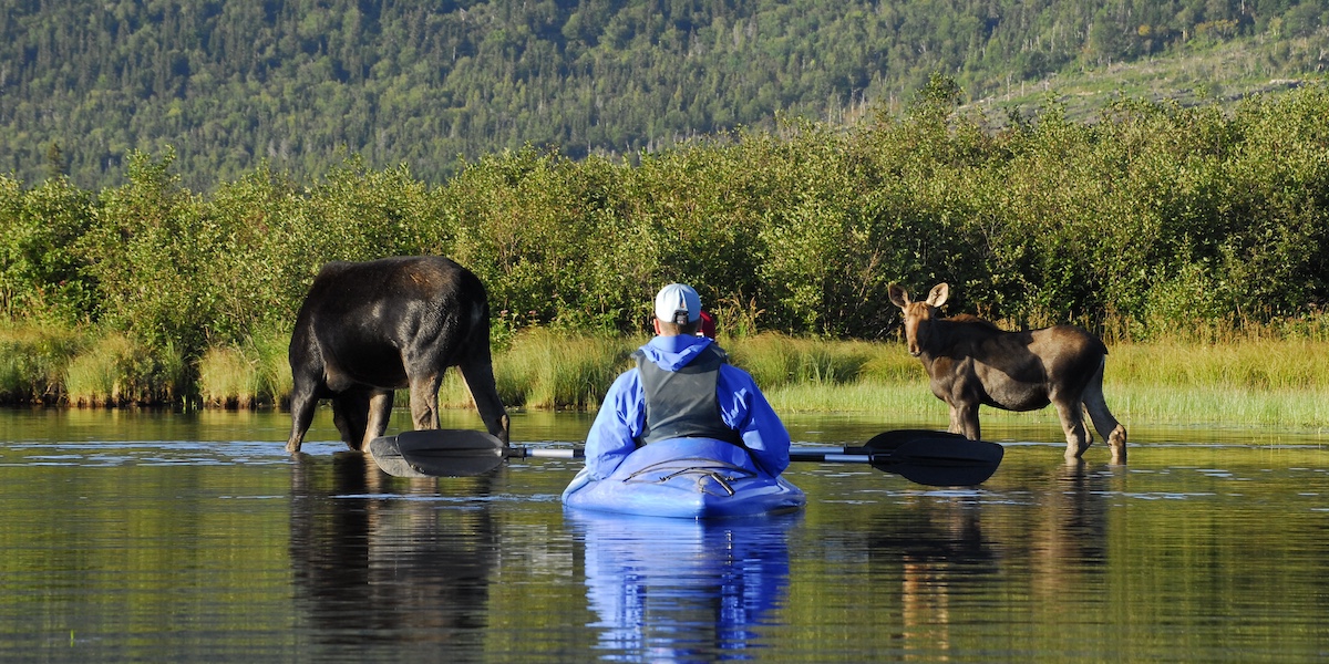 Réserve faunique de Matane