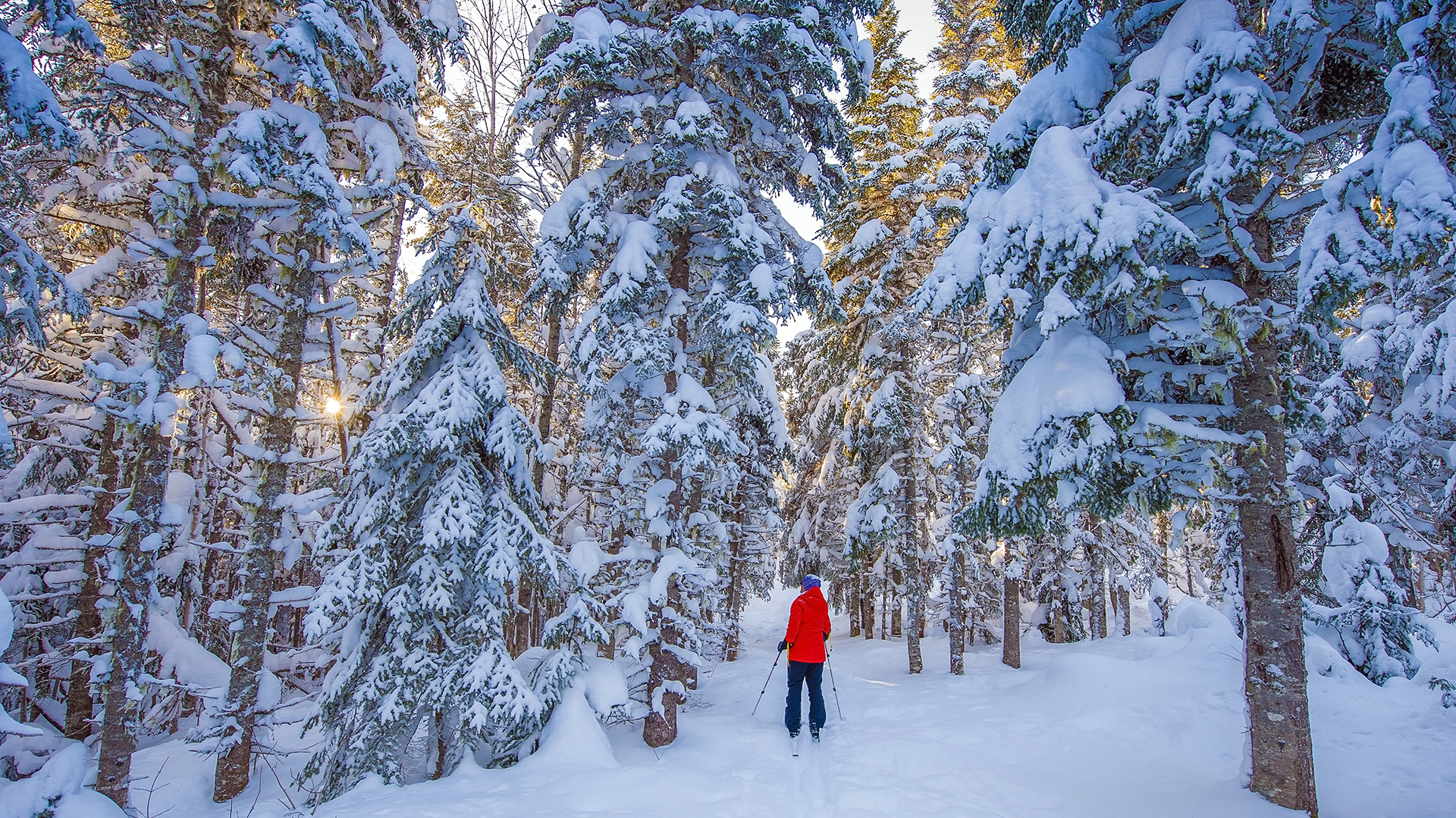 Village Grande Nature Chic-Chocs