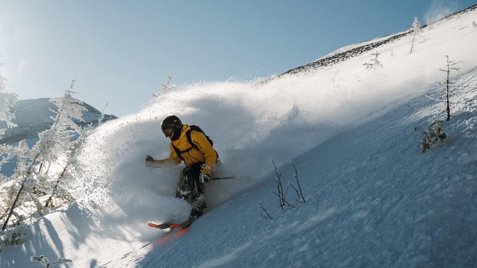 Réserve faunique des Chic-Chocs