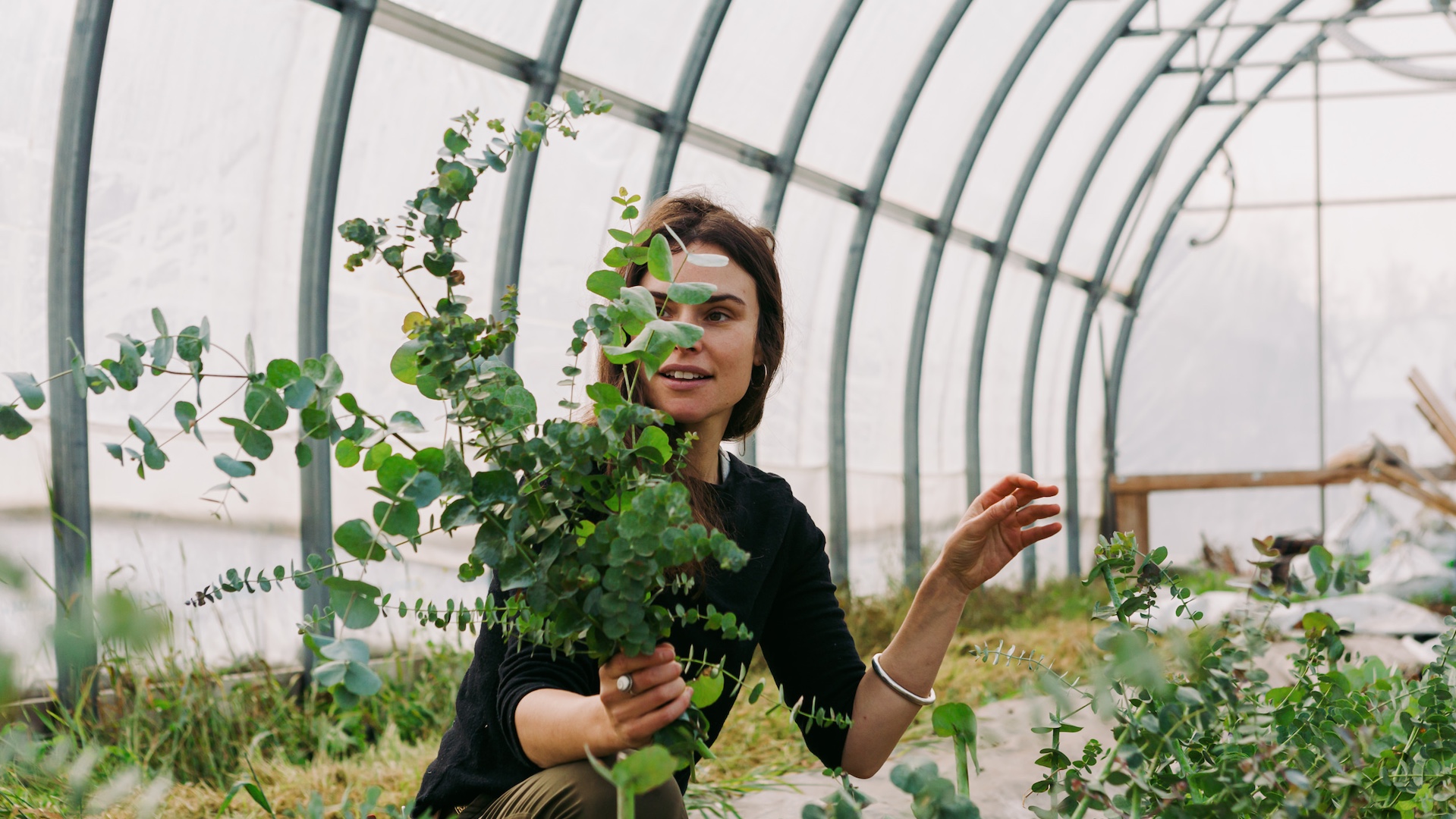 Ora-Maggie Beaulieu-Pelletier, Ferme Pastel