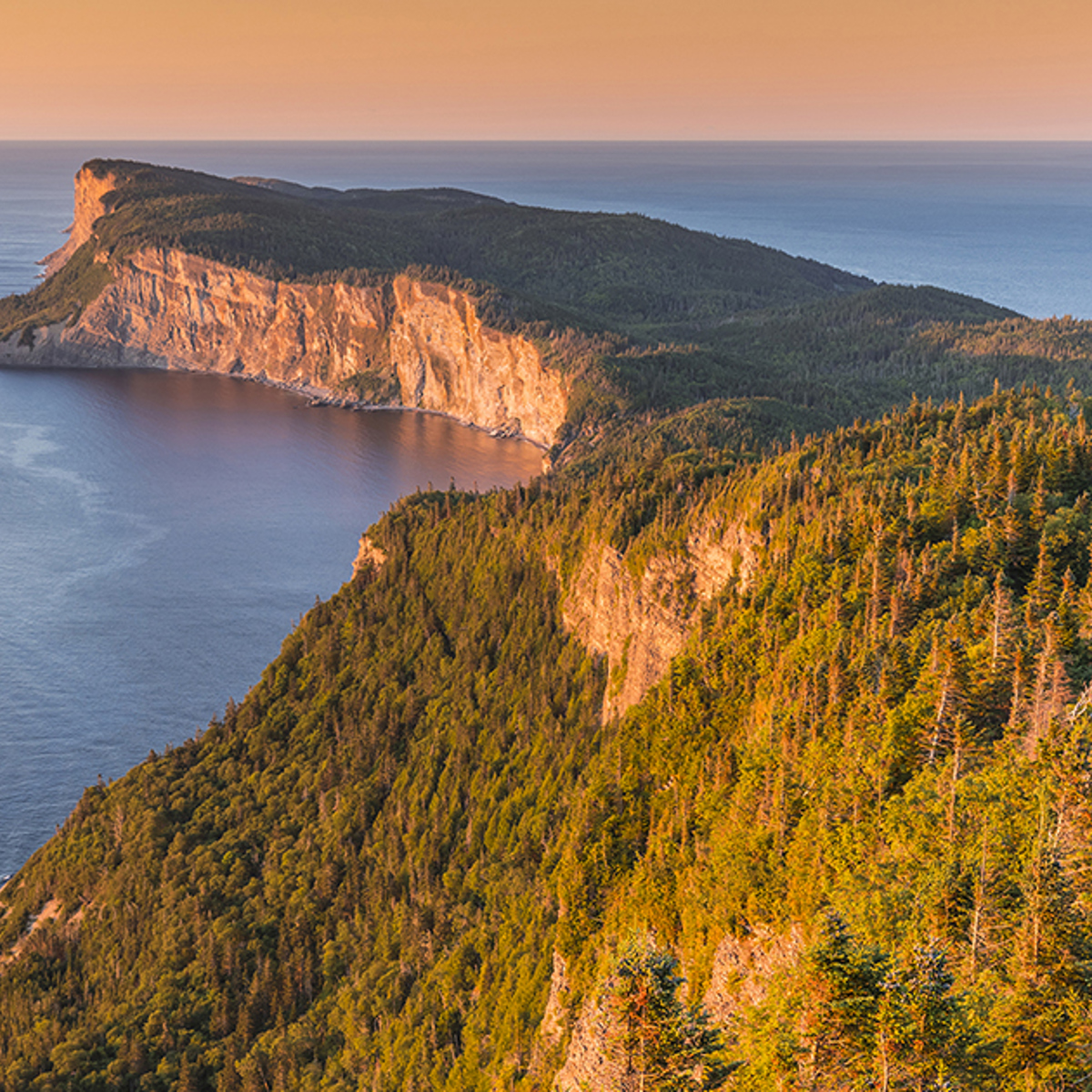 The Forillon Cliffs