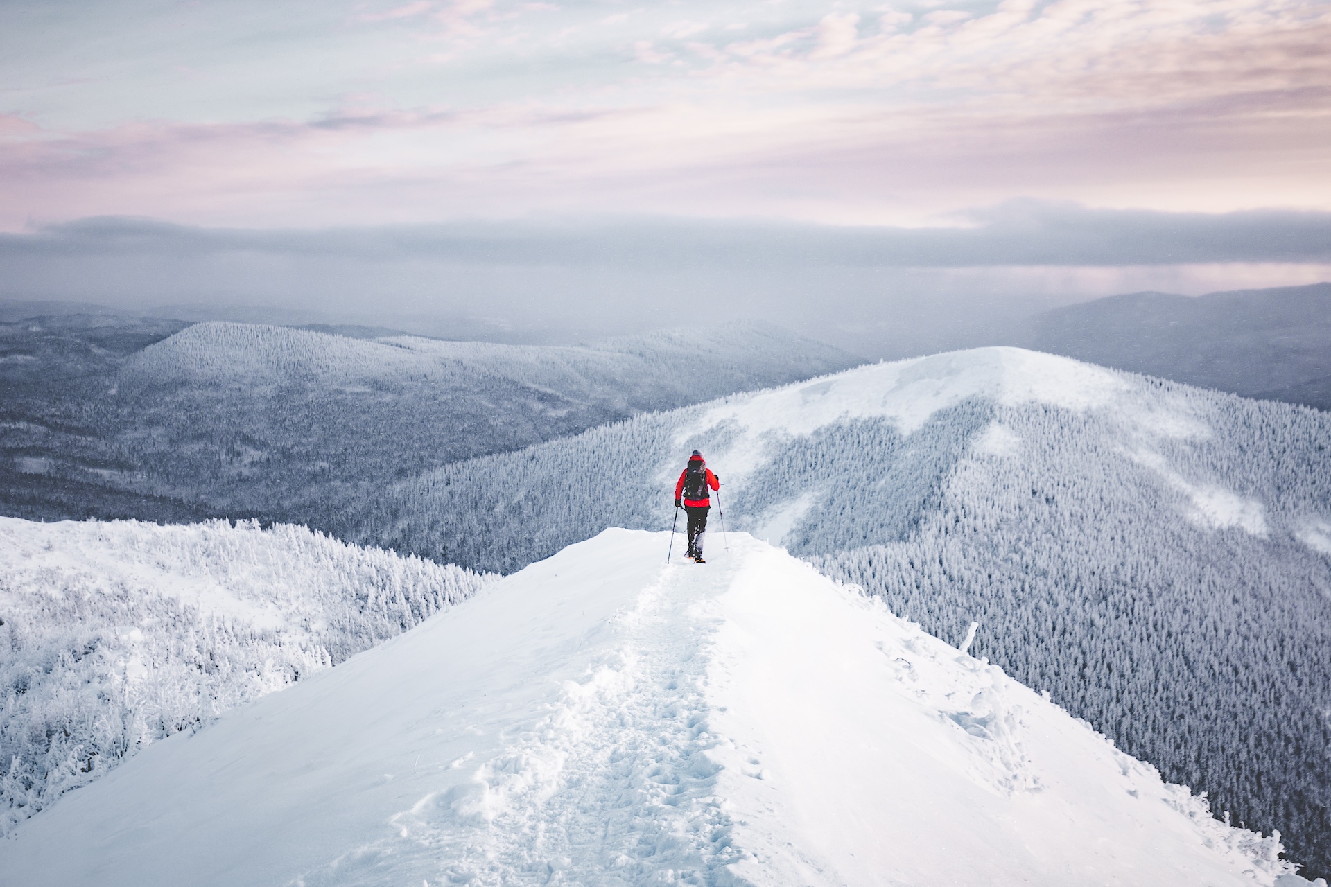 Réserve faunique des Chic-Chocs