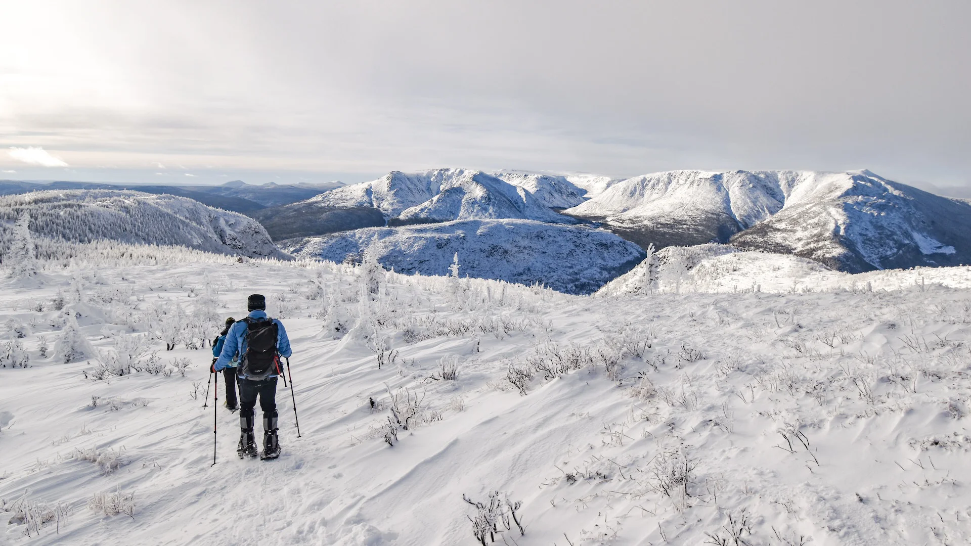 Mont Ernest-Laforce, Parc national de la Gaspésie