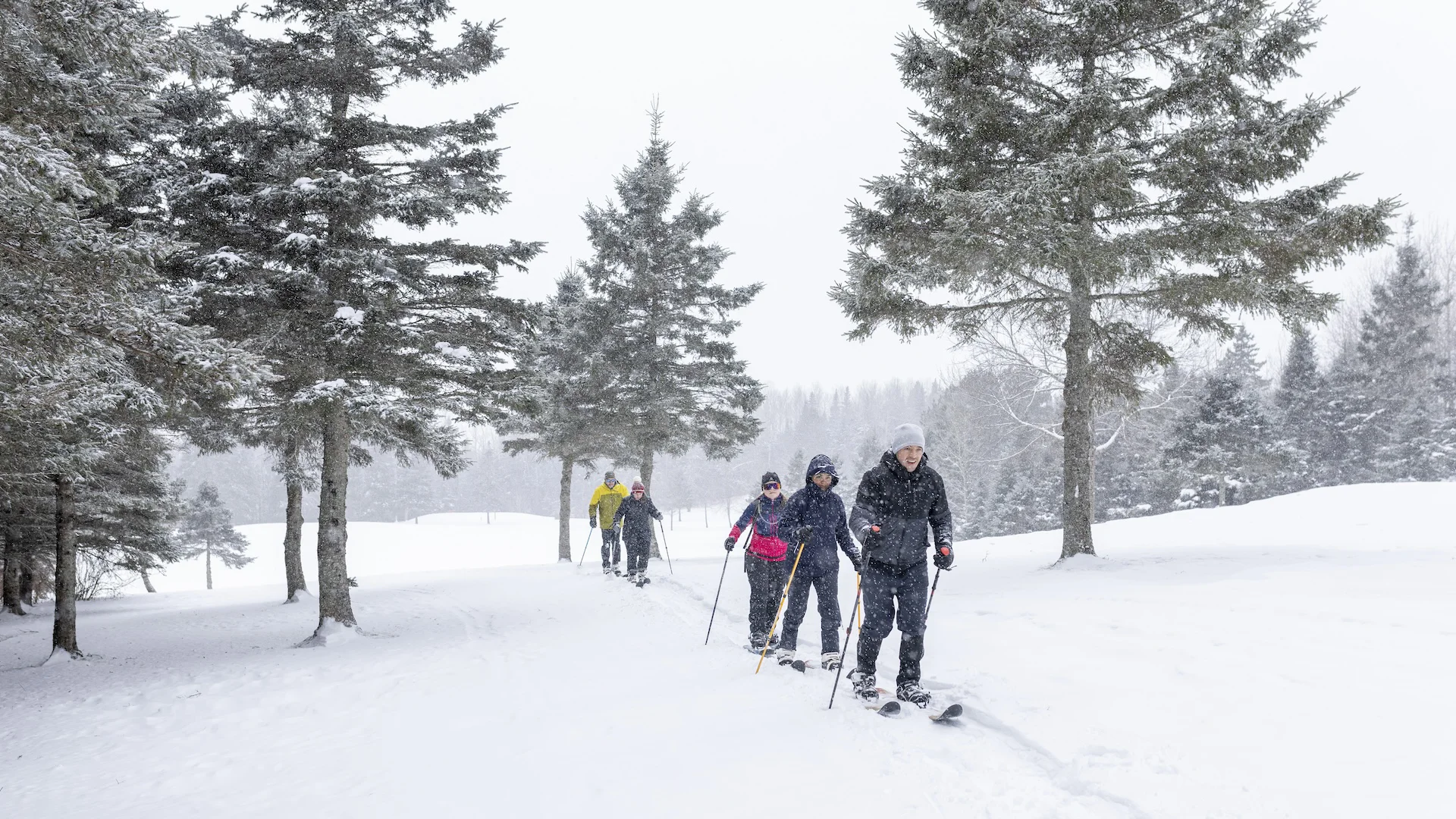 Ski dans les sentiers de l'Igloo