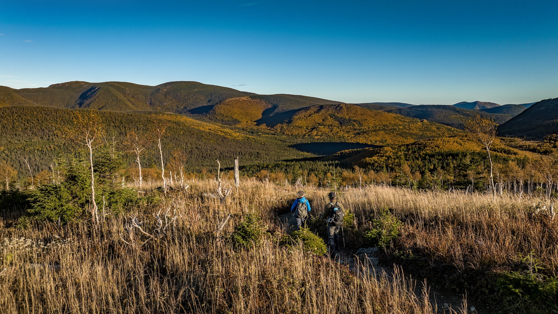 Parc national de la Gaspésie
