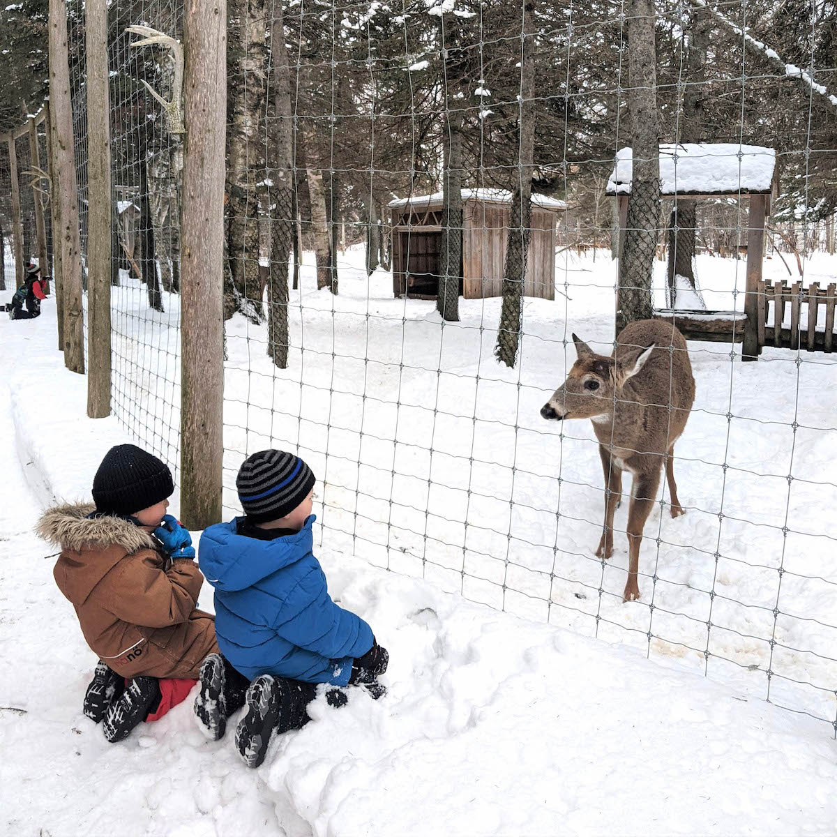 Bioparc de la Gaspésie