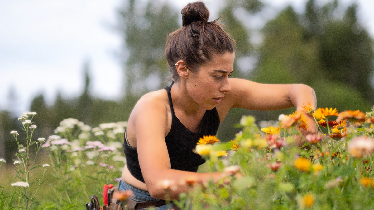 Ferme-Atelier Silva Herbo