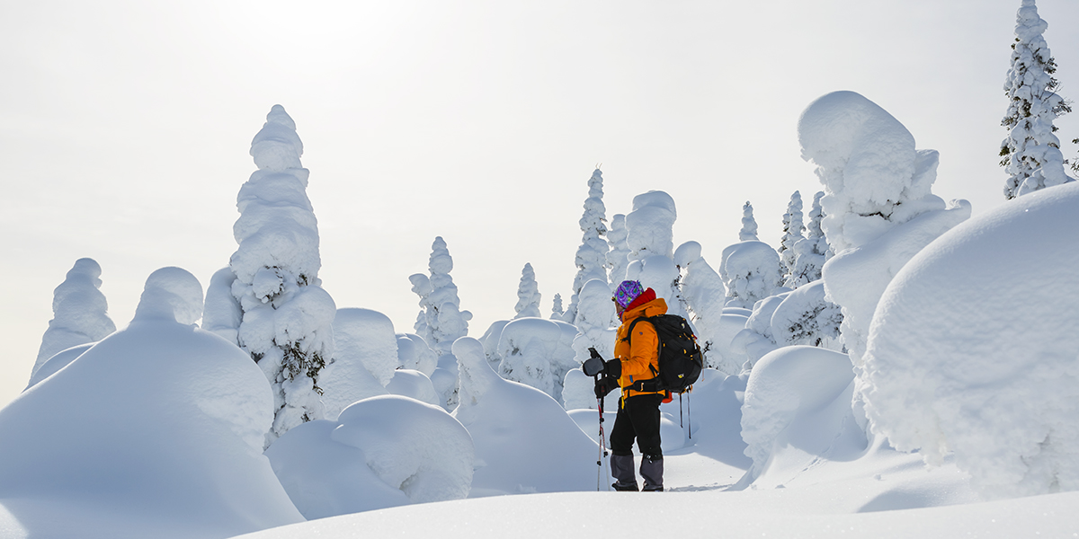 Parc national de la Gaspésie