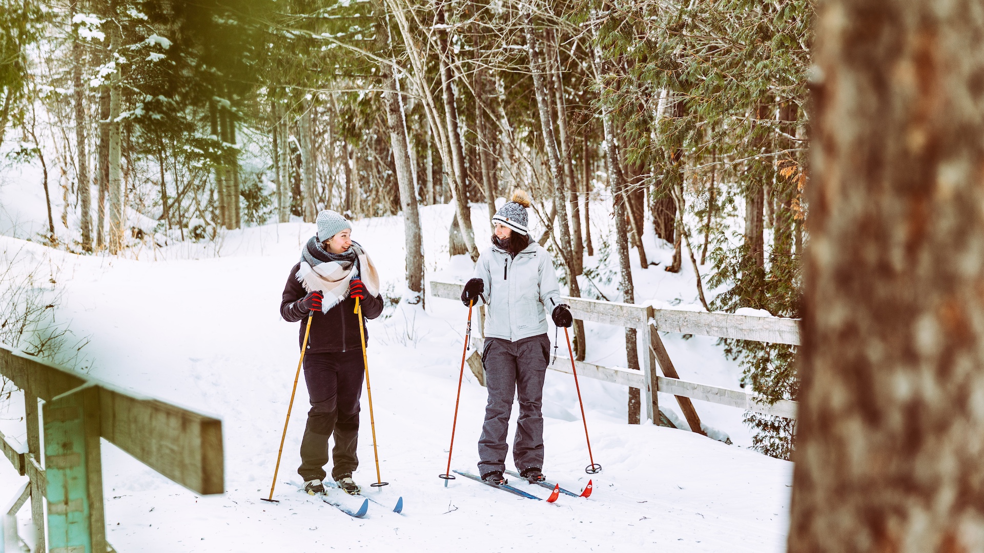 Parc régional du Lac-Matapédia