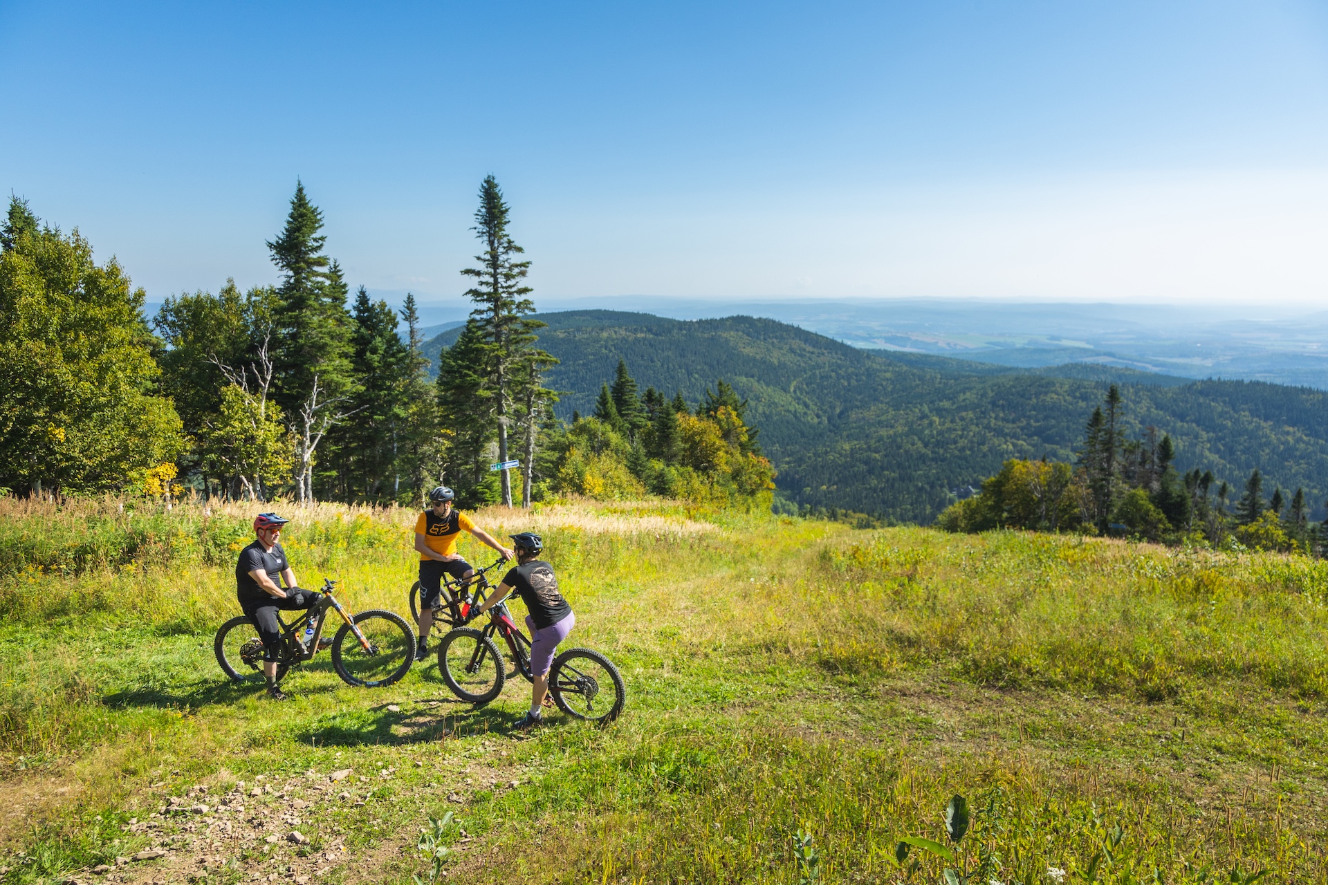 Parc régional de Val-d'Irène