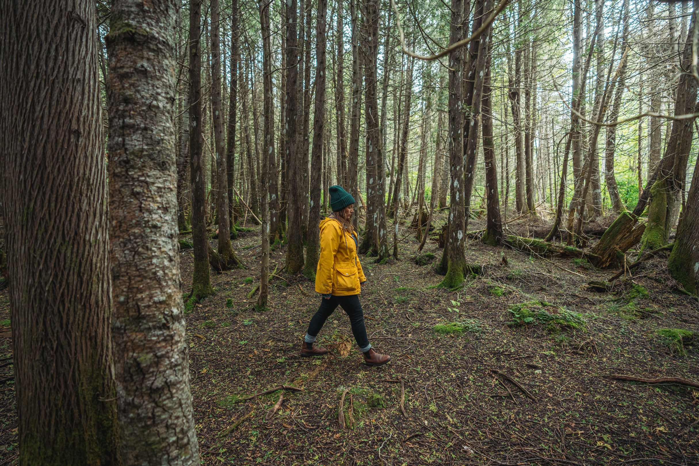 Parc régional du Lac-Matapédia