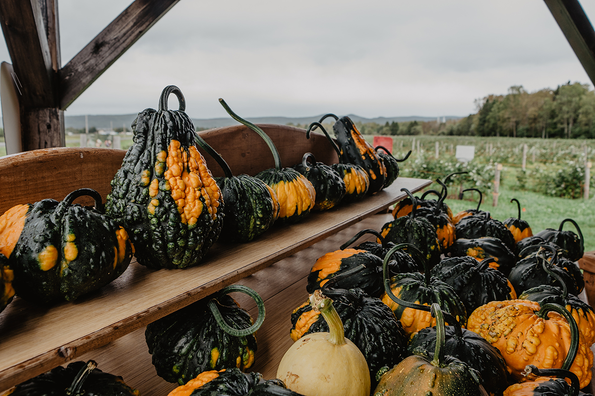 La Vallée de la Framboise - Économusée des liquoristes : framboise