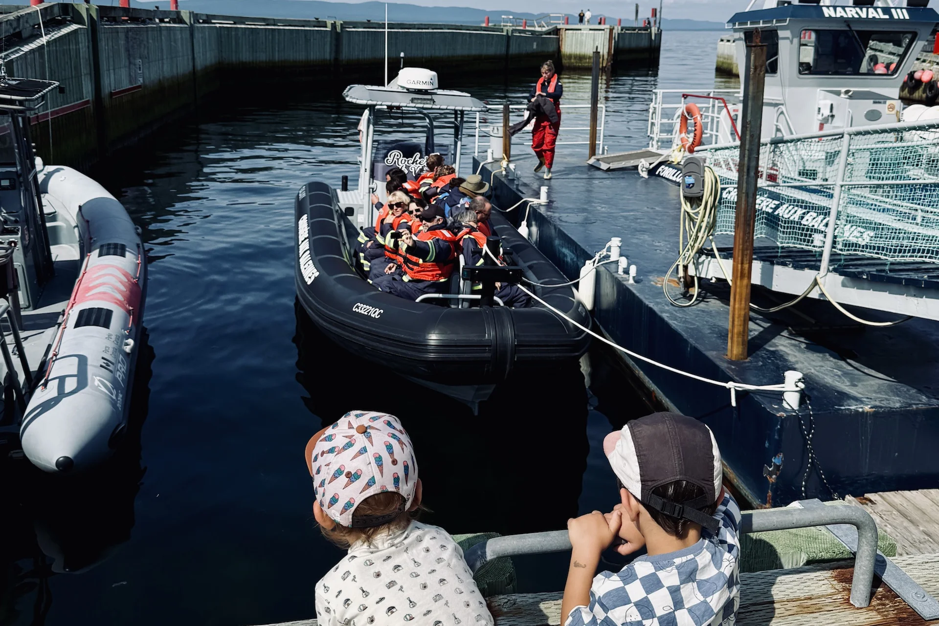 Croisière aux baleines au parc national Forillon