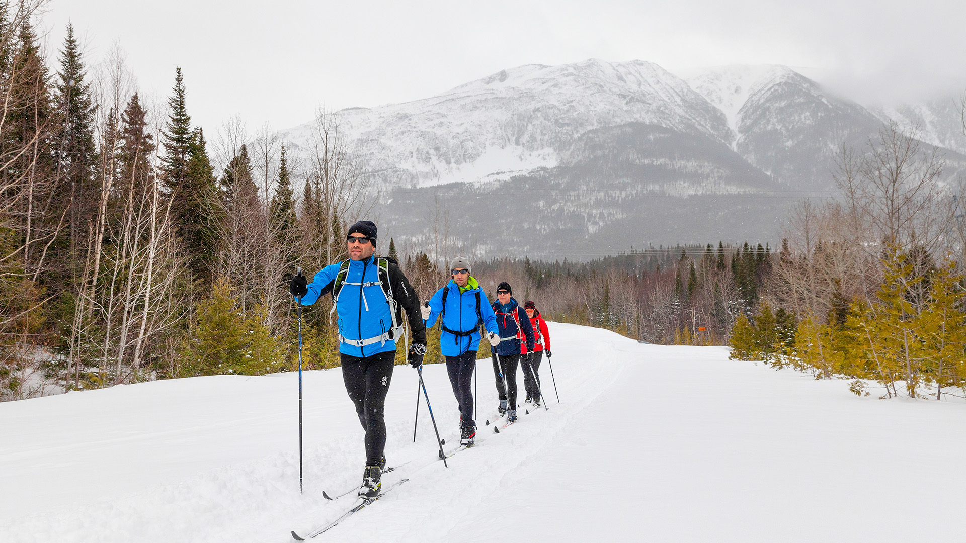 Parc national de la Gaspésie