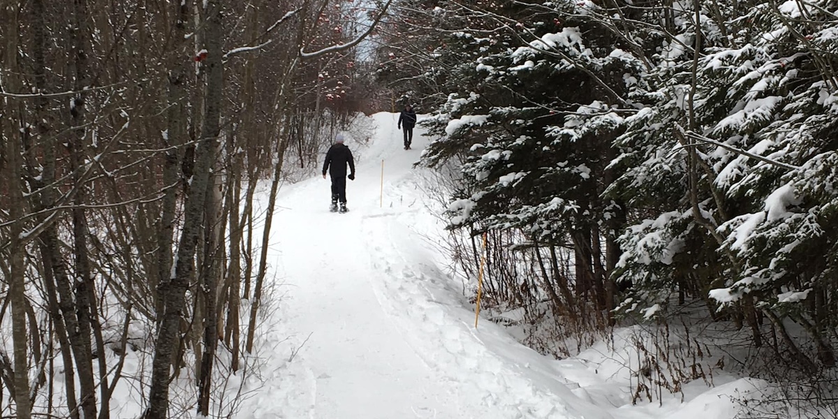 Parc du ruisseau LeBrun