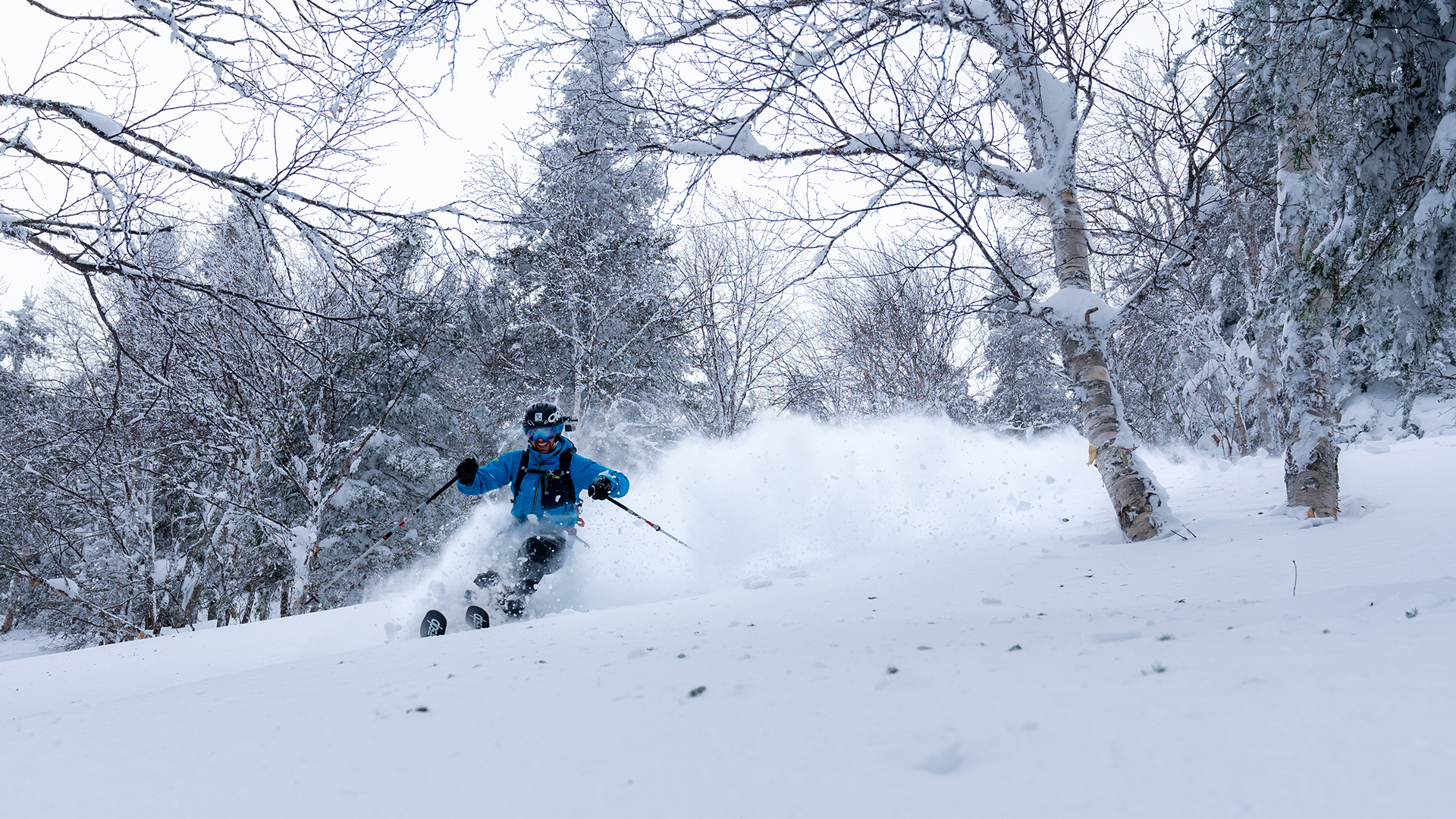 Réserve faunique de Matane