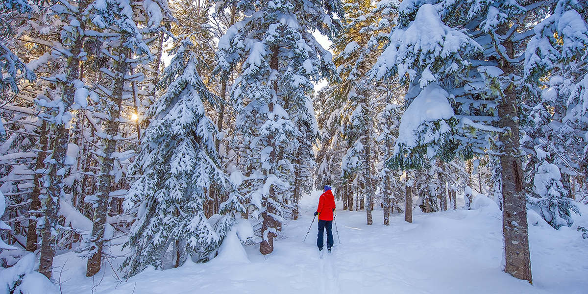 Village Grande Nature Chic-Chocs