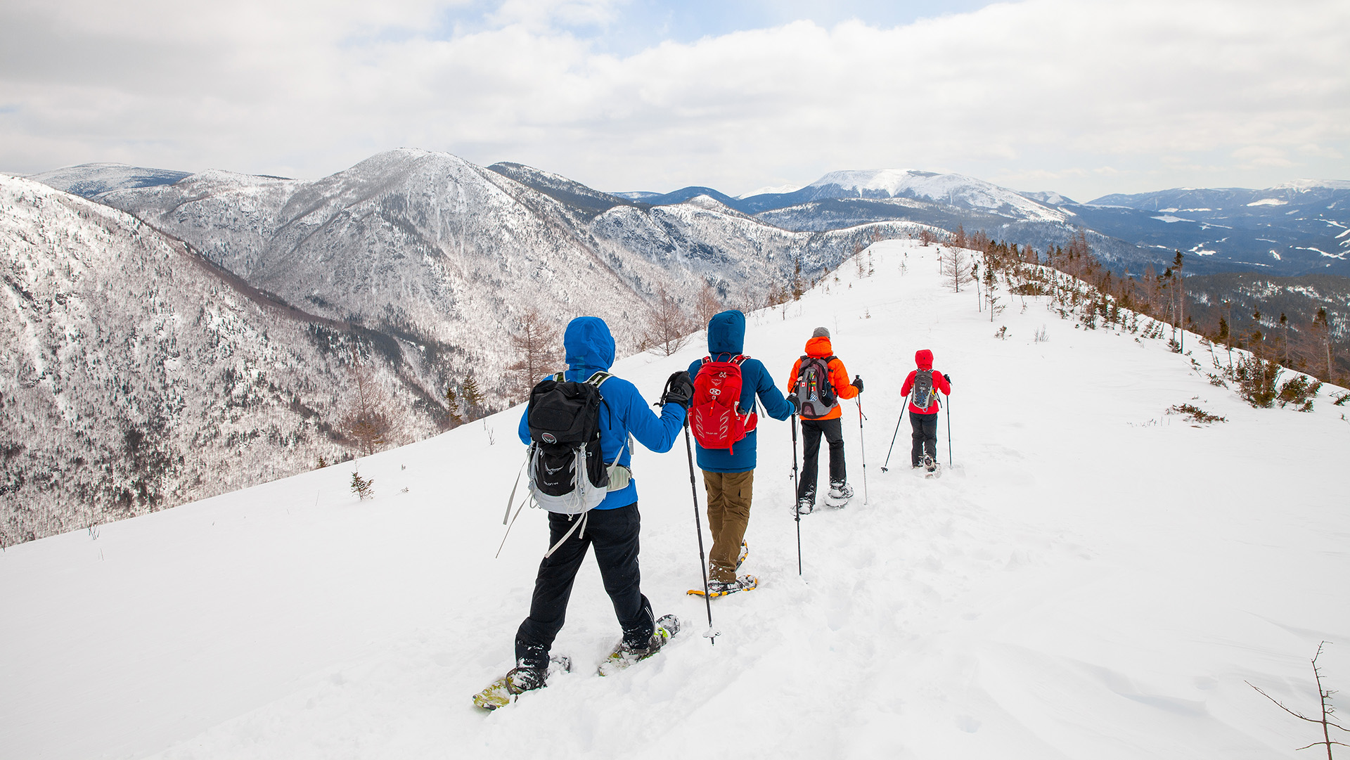 Parc national de la Gaspésie