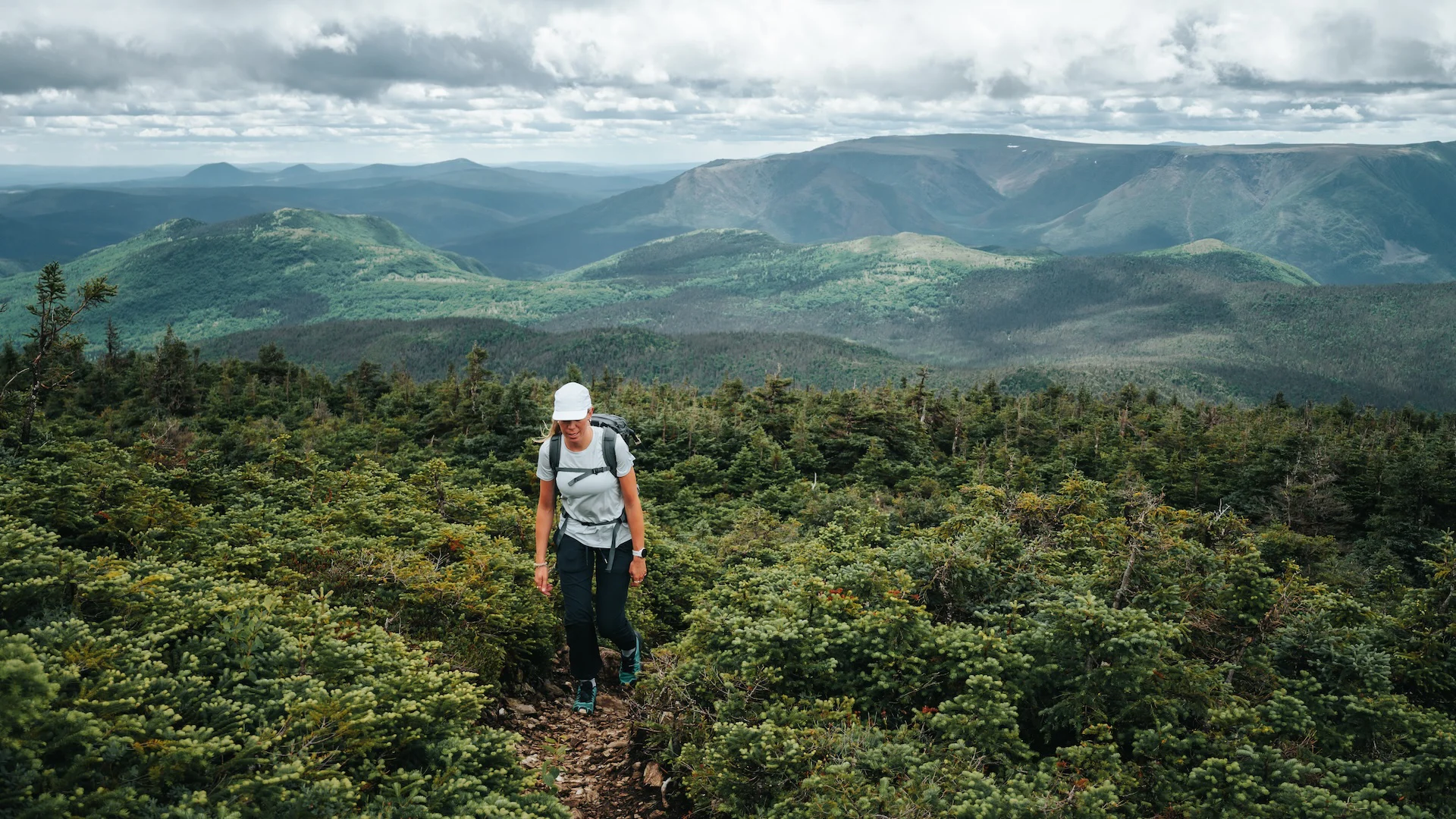 Parc national de la Gaspésie