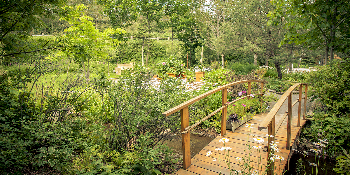 Les Jardins de Doris