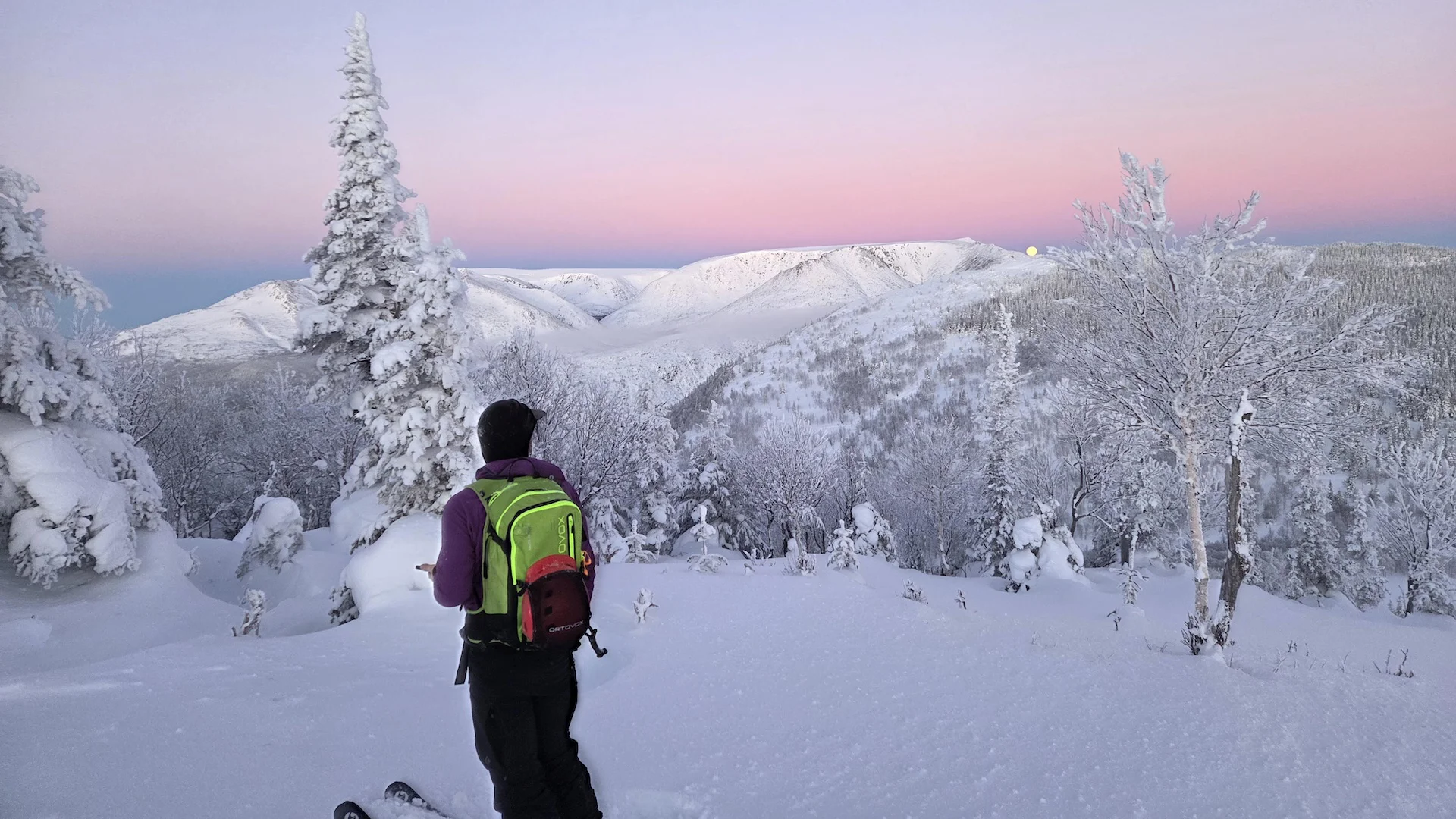 Mont Macoun, parc national de la Gaspésie
