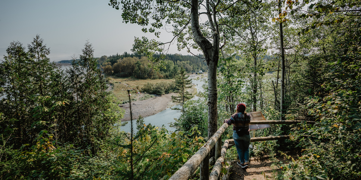Parc régional de la rivière Mitis