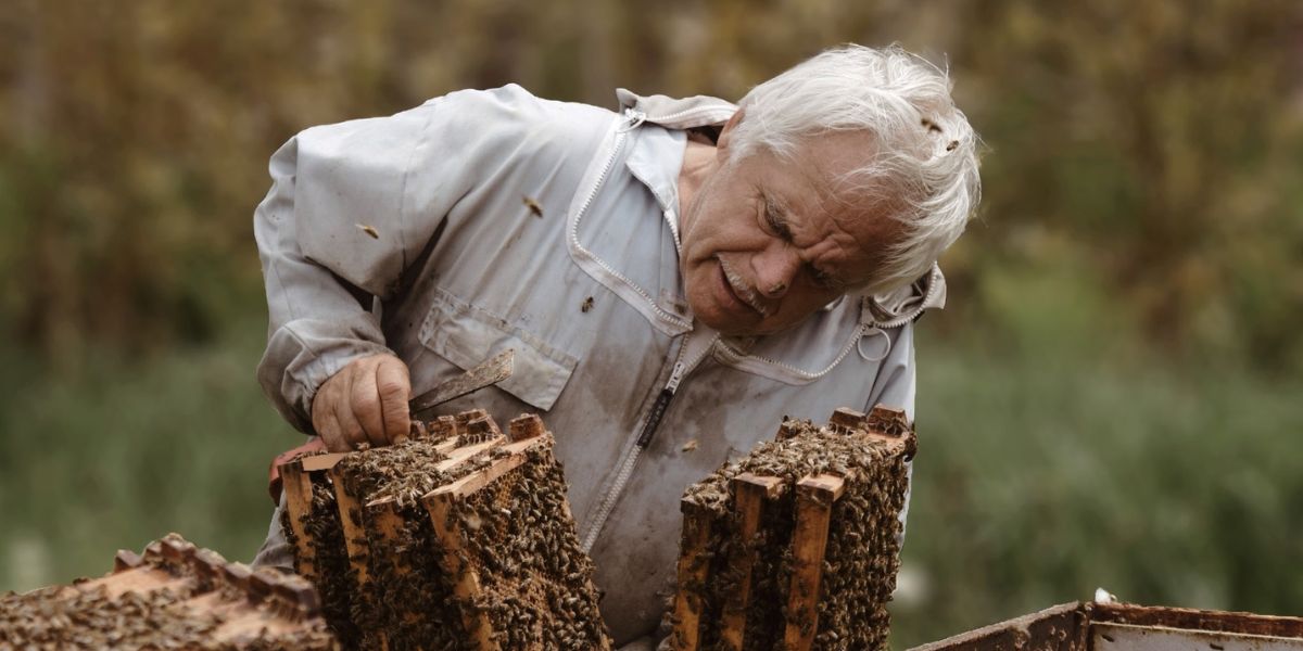 John Forest et ses abeilles au Rucher des Framboisiers